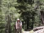 Hiking North Rim- Widforss Trail (36).jpg (138kb)